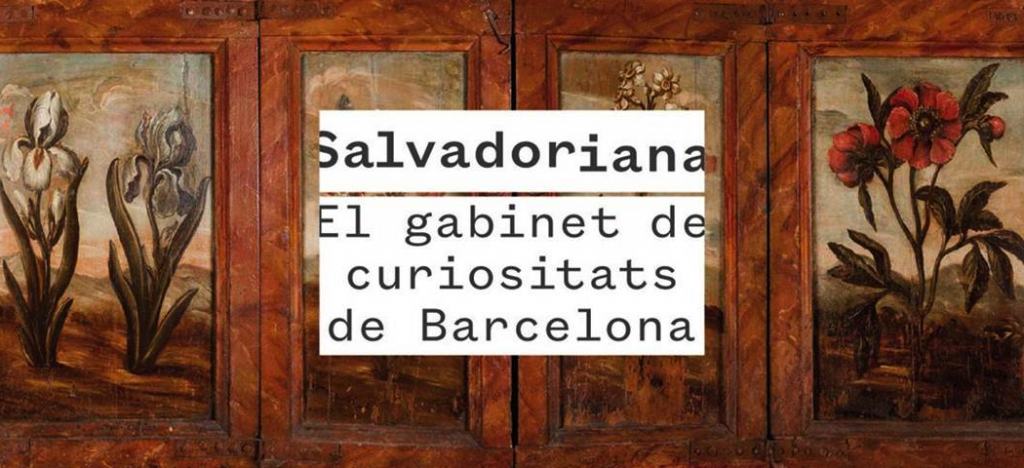 Salvadoriana - El gabinet de curiositats de Barcelona