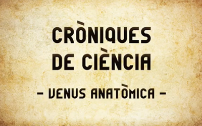 Venus anatòmica [3/05/2022]